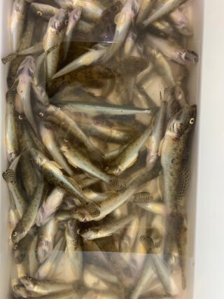 line_oa_chat_230814_195826