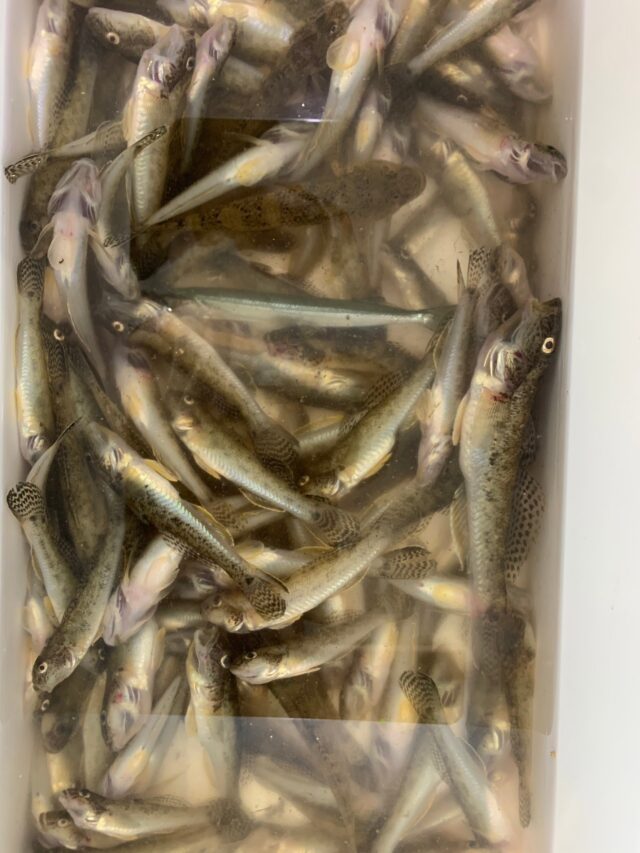 line_oa_chat_230814_195826