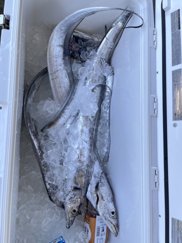 line_oa_chat_230828_143601