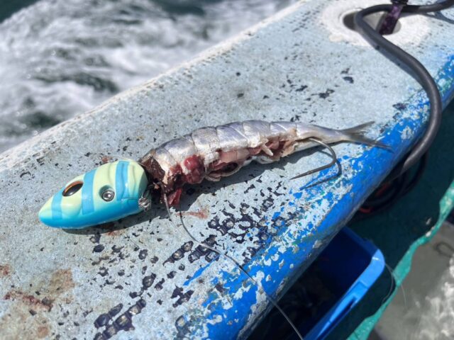 line_oa_chat_230828_143604