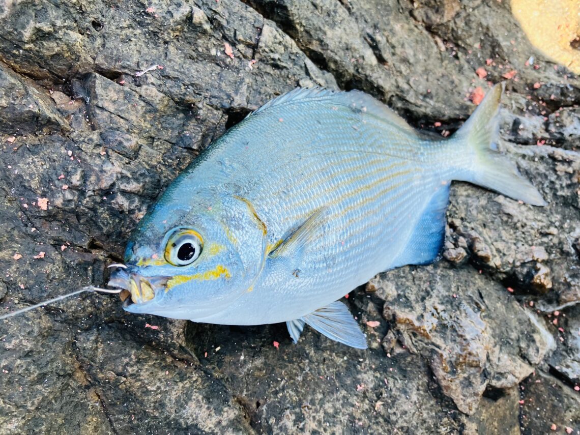 0562B23E-A0FF-475A-91A3-E820287FF58E