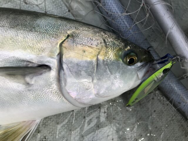 1C5313A1-8739-4C16-8ADA-BA8A86BB7986-640x480