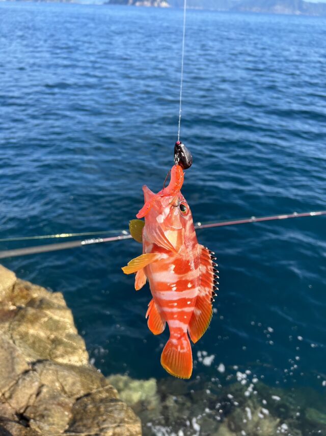 2k91ikorHBocSHrwYIyVSNyBY4mlZ9kGdTEoFt1crsQ_JGSuVJqD6e0PzLz-n_Uah60yOKyijl_zHZoSmVlpU8yDXUyOKHAK__Ni9YsLwOe-Ybk1vjZr_RStl08steyAjgTjgTGATm1_gXXKFHhmhg==