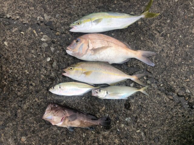 2nxKCmjyHCCvUYSsWJL0YnyKlNrUAoyi377Tn7NF3ir3CBdVcJXhLIKeku_qnZ1acM4Ow3409syaRTSjPFq2-YLYoEBK1JVzRW1ZzXxCDCSr7xVa93CVb7wTVYJYbSdD