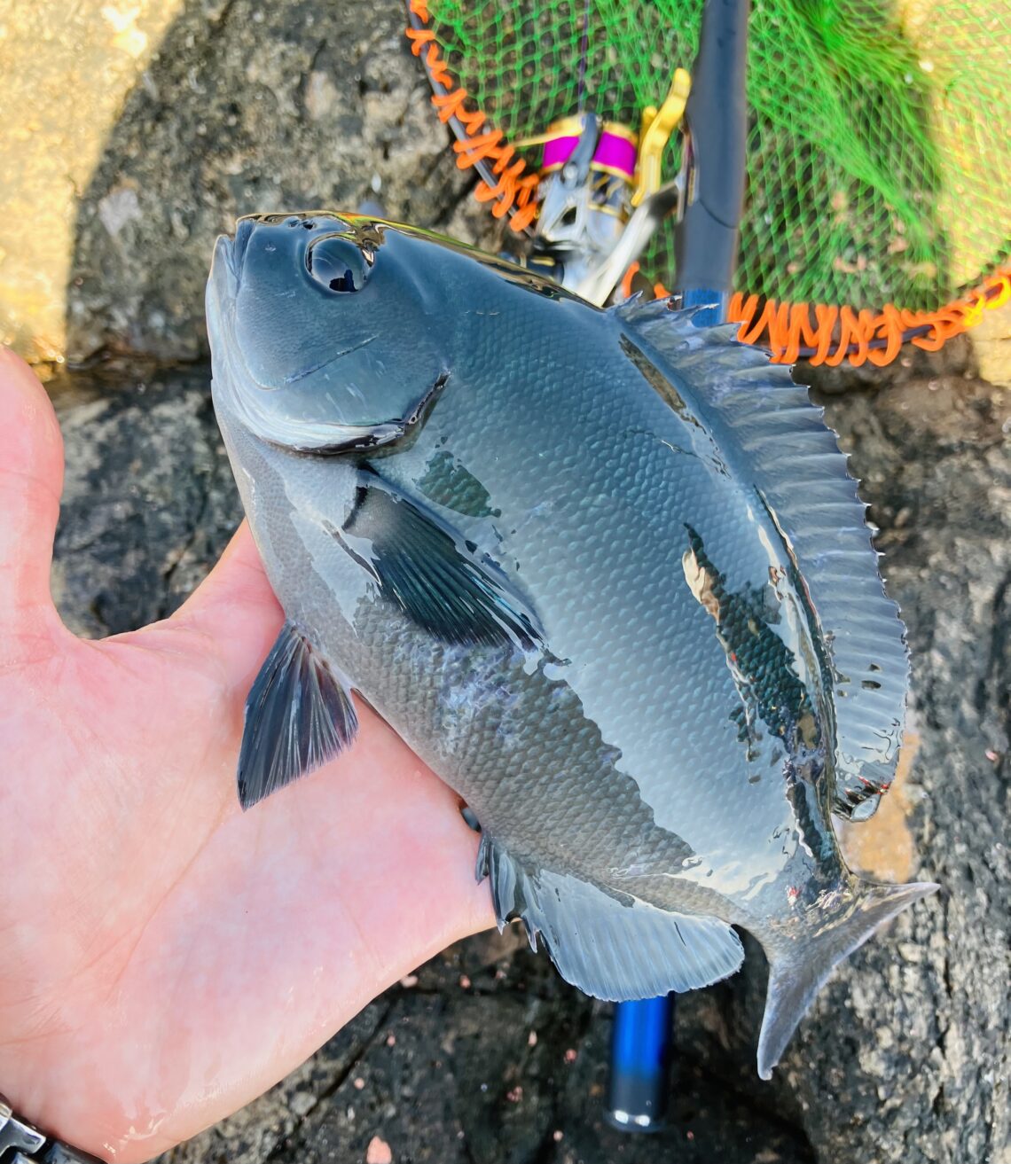 48635833-901A-4F4C-826C-7BCFFCC92135