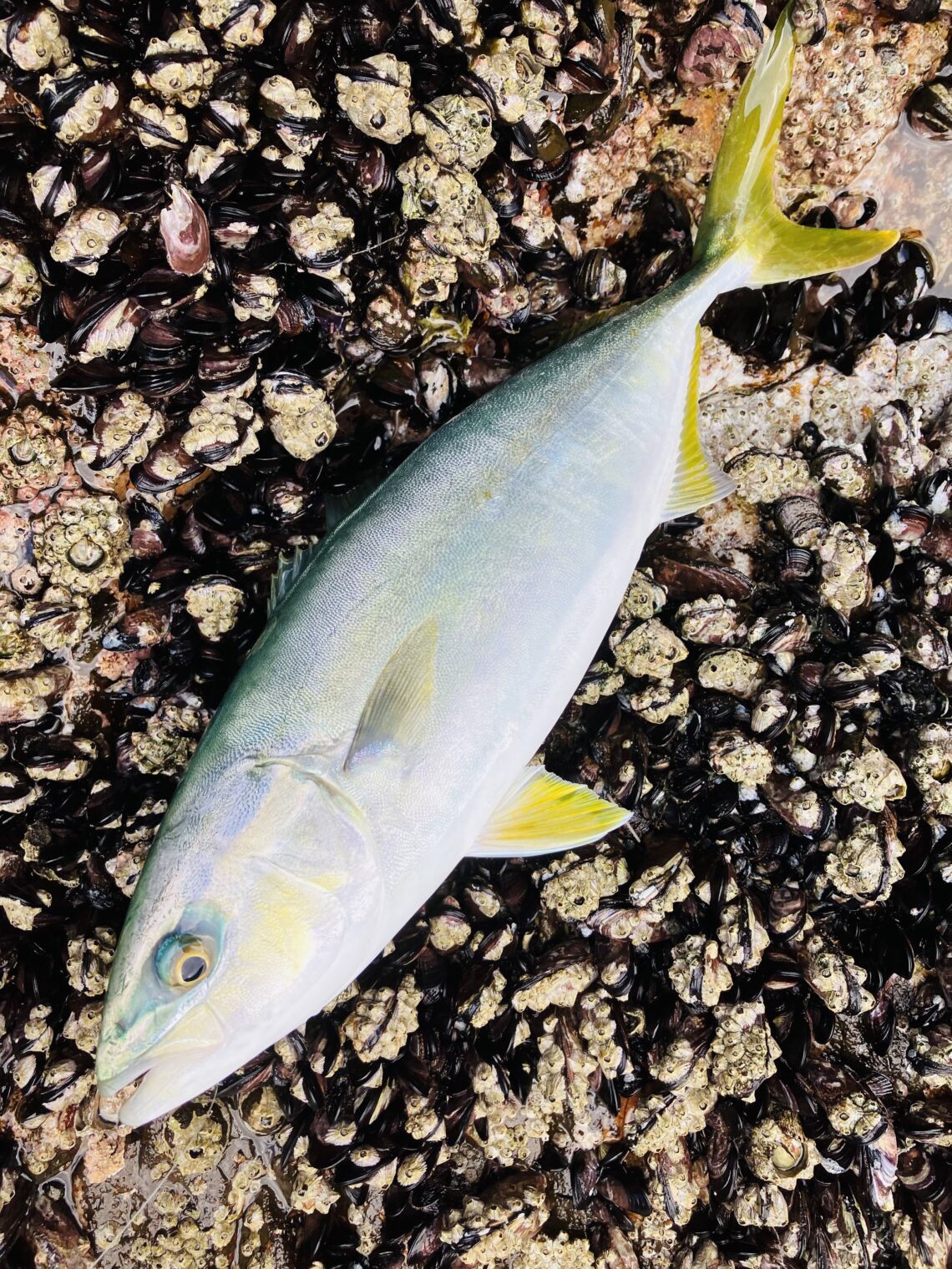 48DE97CA-6AD6-4766-85C7-BC4786F88660