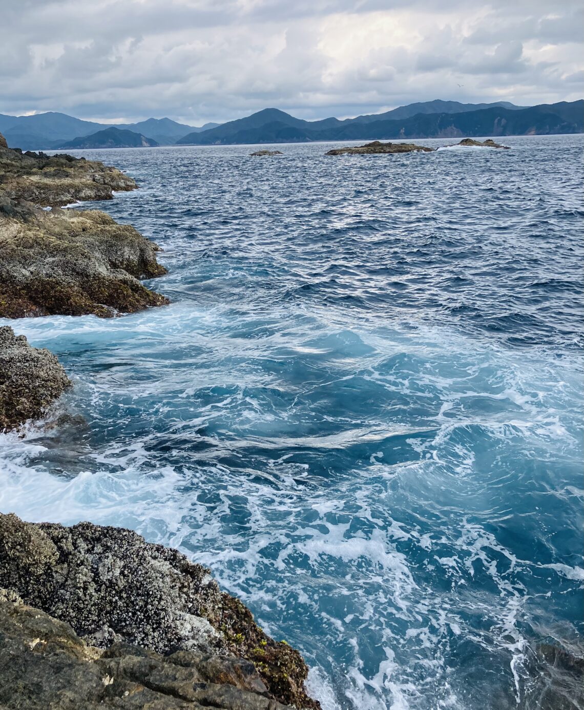 585D52F0-BEB9-4DE2-986F-C2C32C51F1EB