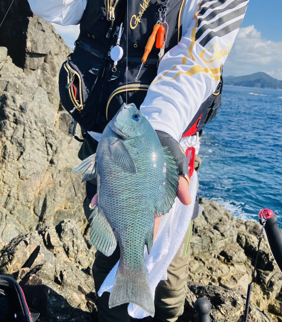 89DFCC24-C9CF-4345-8BF9-272F06A29AEA