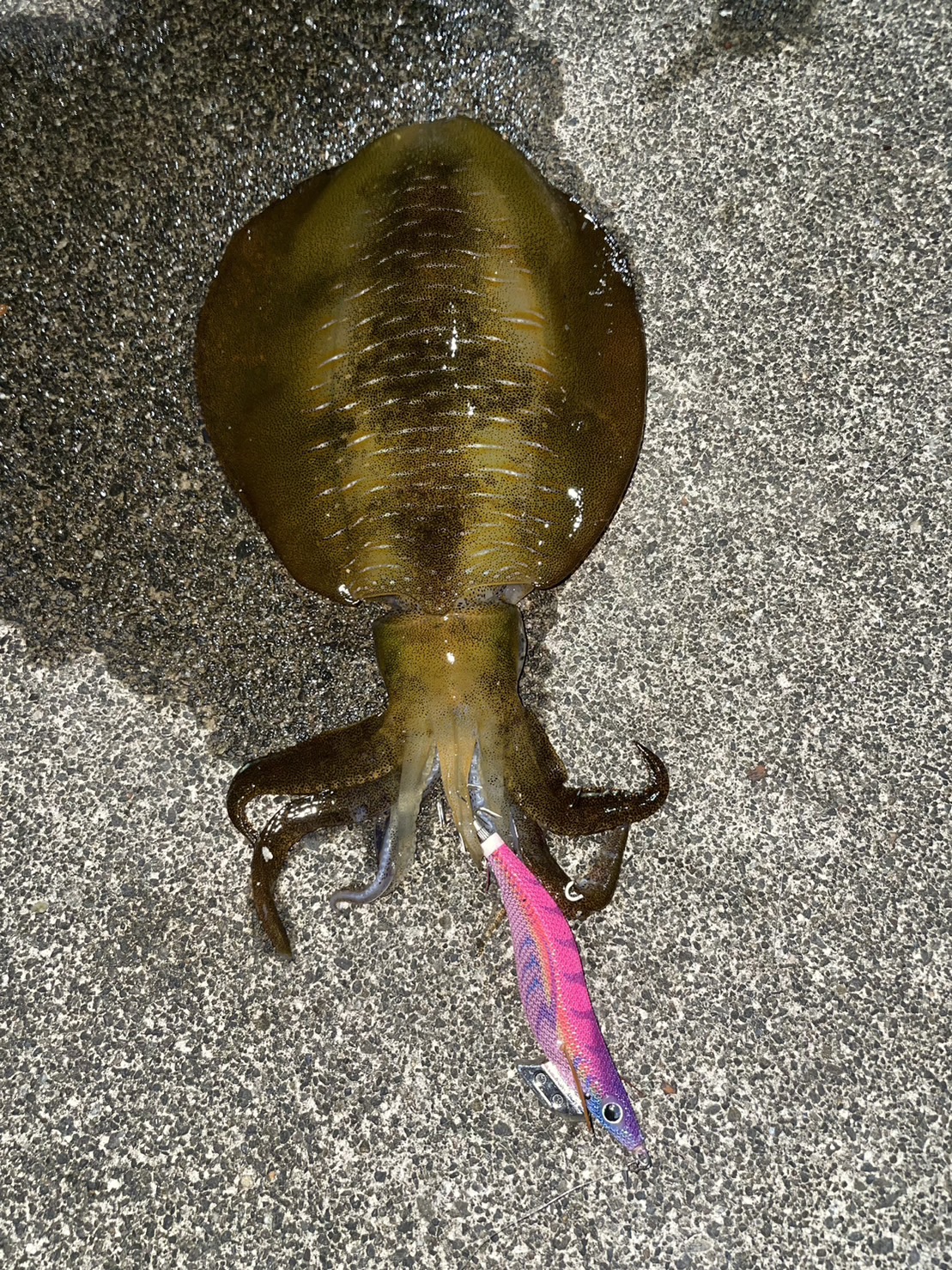 8B2097A4-8EFD-4690-B12E-875A14056C7A