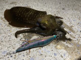 AB10D4CC-5E75-4D5E-A6AE-546BE7A2E76B