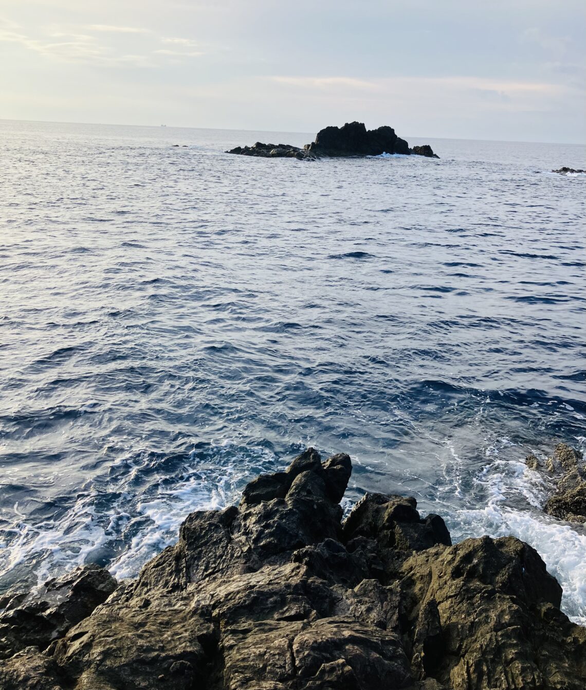 D31B6C2C-AA1F-4919-A57A-1318D7D4E80F