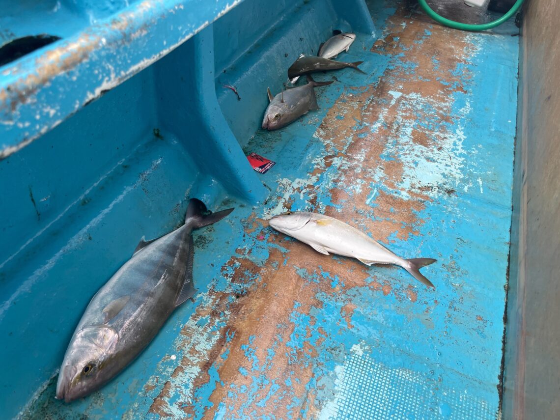 E_3tUyzUPypORX0HTlz5CKxgnQYgM6_tbgAd1HiXswGLRsOe8KIuP-ADxw-Gn_QecTs1yZmFDT-K7OxAAvkBxtzZ63XPj6bHdDTF2P2WXg43SmAKbTrb0BikUMsDZZASz-l8wzGQwHLkU5ioxg2GJw==