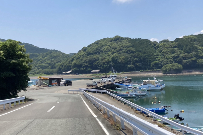 FEE86C4F-2390-4536-BF09-50FA041FB042