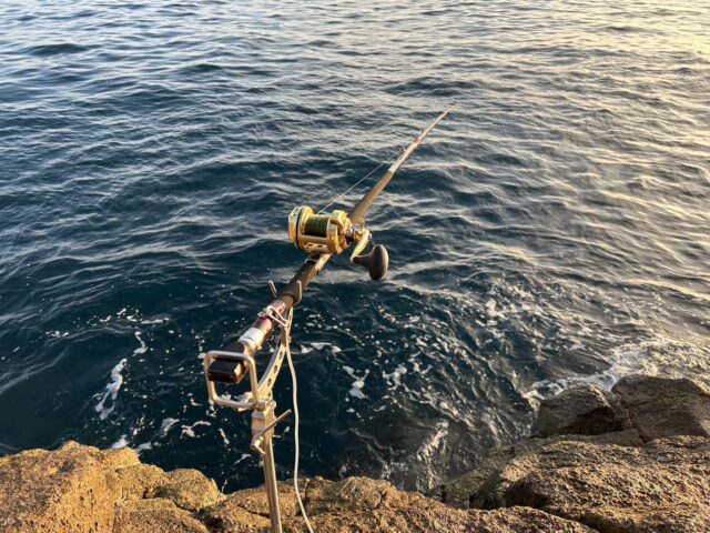 I7f_PiCBkznlHmy8i8cNrHltV7sHQHZkBvDbKGT_mBepoH9v2ZikaN4u7AGzdR2W4E33PUtAATy1f4f_m6cwWVB5u9VDkihPco5TgtZQBaW0Snbllwv7Fabppmvq2OFQr6fRbKROf4YksHppMo5QDQ==