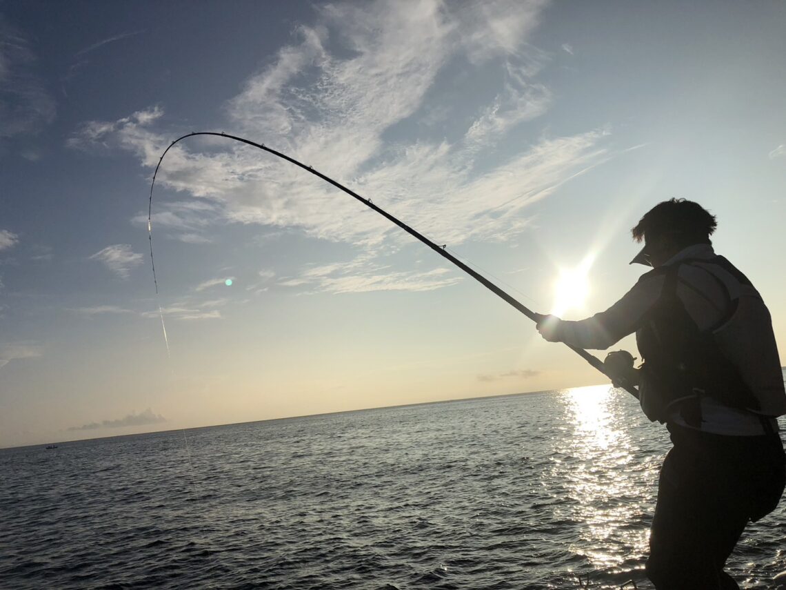 MVPOvT8xIapOujmOI7RkgrVVKLz_D8LKeCB8NtdUgv8BvsJ_UwfKVKHJB3mEL0ib4WoQzYgAMz9A9nzqcapGi8EikzLI4zSTesfqj2Tah6l_nT-dckSAYJ6l8TA-CpjzyoEYSNdl5TIBu65cFcBv0A==