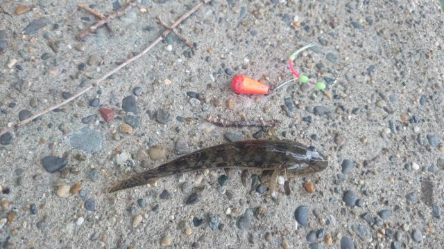 SNbfgpk8w7lY_HbuEWZ3ji3LQNfVEu0EPrY71dP4ee_K2W07HXiSq14kXdeQURoDzOEV0NRJJTJd1EdajCAGuRdMPSGmrh3GPEyLNlVD__cANFMgO4UGNloJEVf_ezr6r6fRbKROf4YksHppMo5QDQ==