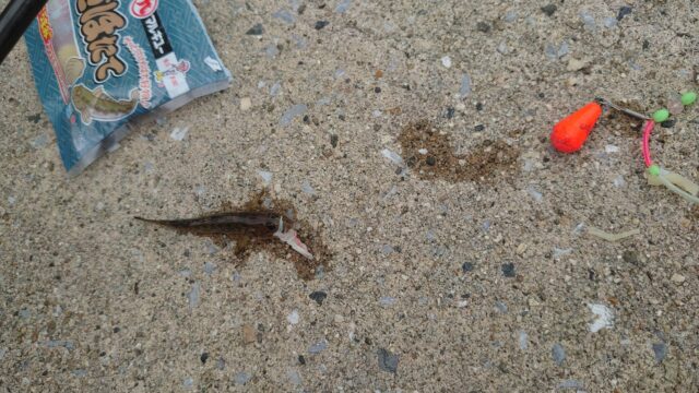 XIXxInQGAjjvKsXxxkorGLZjaiul74VEtetd_WaROrJuB8WP6han_7TP_kh-WVzv9FnSNE0YXftveDrPjgWZ5064-frYZifIU46FoJNkfuI5s50U-ru-pqEkmAwX_Ttuz-l8wzGQwHLkU5ioxg2GJw==