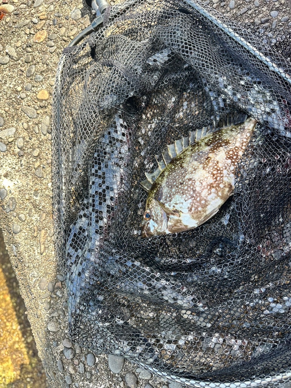 !cid_4BF35B4D-D821-4415-8C59-743917E59551-L0-001