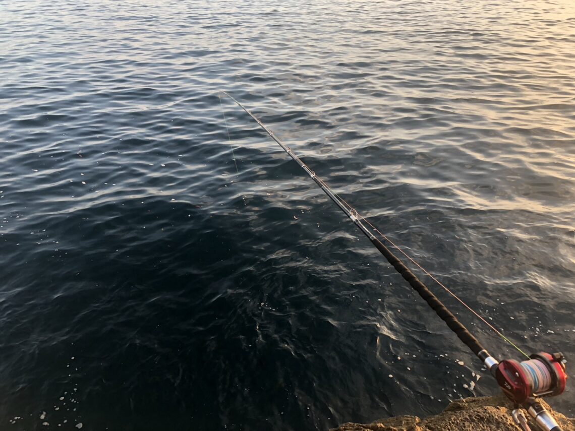 kzDXzXHsQxrmkYxBWgn2LgJ9-4YdIJd9Wcxb-aTT_XGRhV3r12c_c8_F5XRI2XjWHSL0fVn_X-9zff9SdWHNL02CPHJ3jj5v-qN-H62JCUYLbDYeoTrX-nOF3pePDnF8yoEYSNdl5TIBu65cFcBv0A==