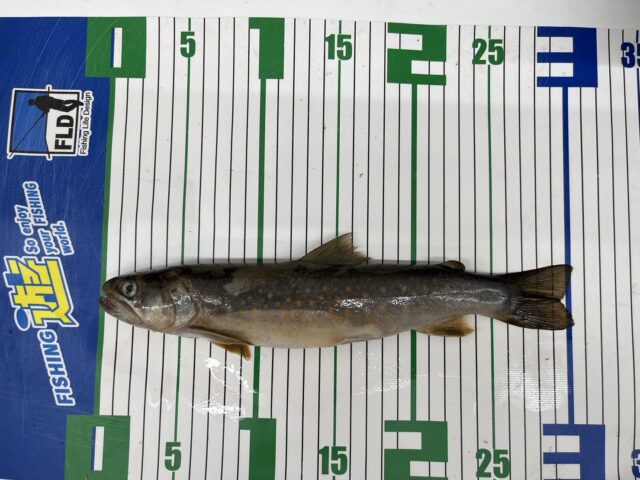 line_oa_chat_230917_222133