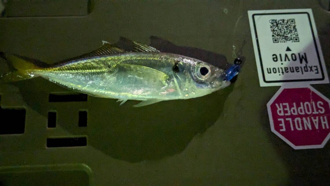 line_oa_chat_230930_130616