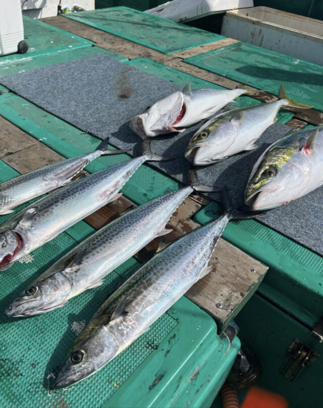 1BE216E9-F5E1-47F1-B7B4-9F9F78A8E218