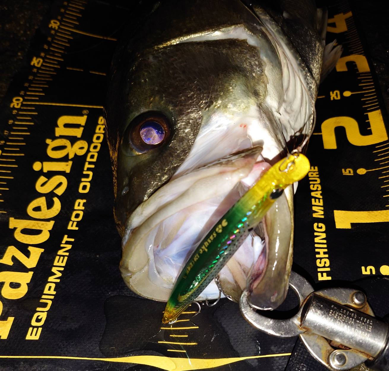 2zvJB044o5di0W3DeTJEMdlhuLM6uuxD9_O80t67VLWRQPKPIcdOqUreiZ2c6SfWaEgDuhKD-rj5Ed3AW9xkEyK47HUhkqQSQSuPns7aRM9XMVSRh7XSlZX9AvAyXgb7jgTjgTGATm1_gXXKFHhmhg==