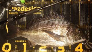 3OkhjccRbbMKX3KOI828yCX8KGKSyBI9V_C12kkGEl670ES4gZRrPUvobZJ4poXhzceBjDNu6kHqUddXtW6hPmNMXhyGp10aOBJsYX9bPZL4UyQY6udEXzBPXhQojA8S6jNu5bRgUMkvYKl3YQCxcw==