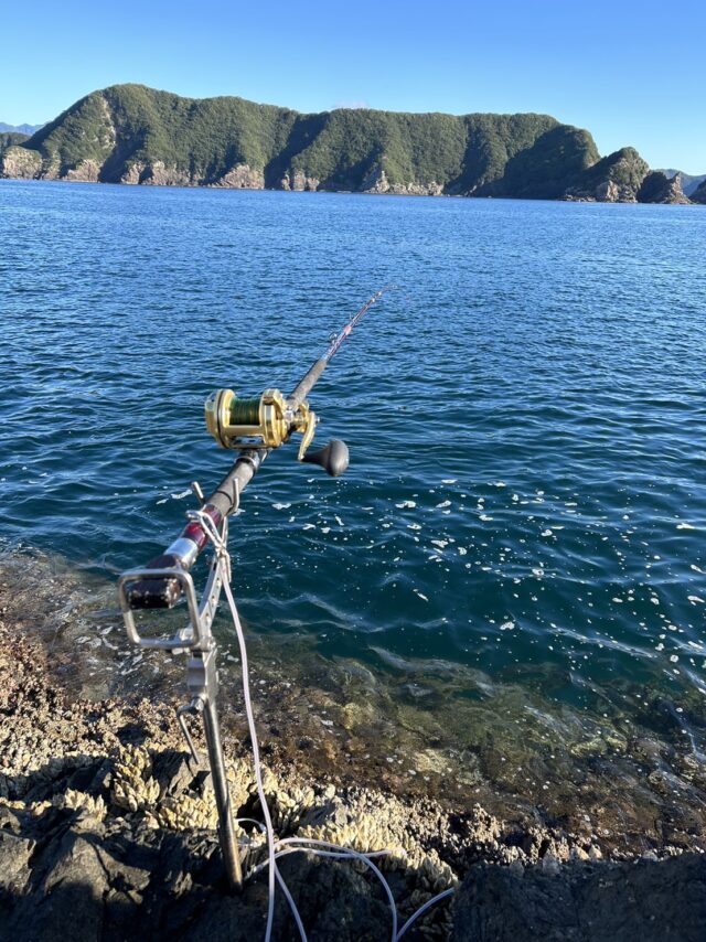 4sTy2Vl1pB3DGFFYOIT_SwMRrH189raNBgUTichvEqGCuiM_CnZo0qc1jPmbqJf9osmRsm_BnEVV4UI0WMoOwhz9kBsXPtMU-fP_JwuTCHfsCdPlwgLDqYrM-j4qTjal-Y6RmCFYWj9R9NUu3GhWkQ==