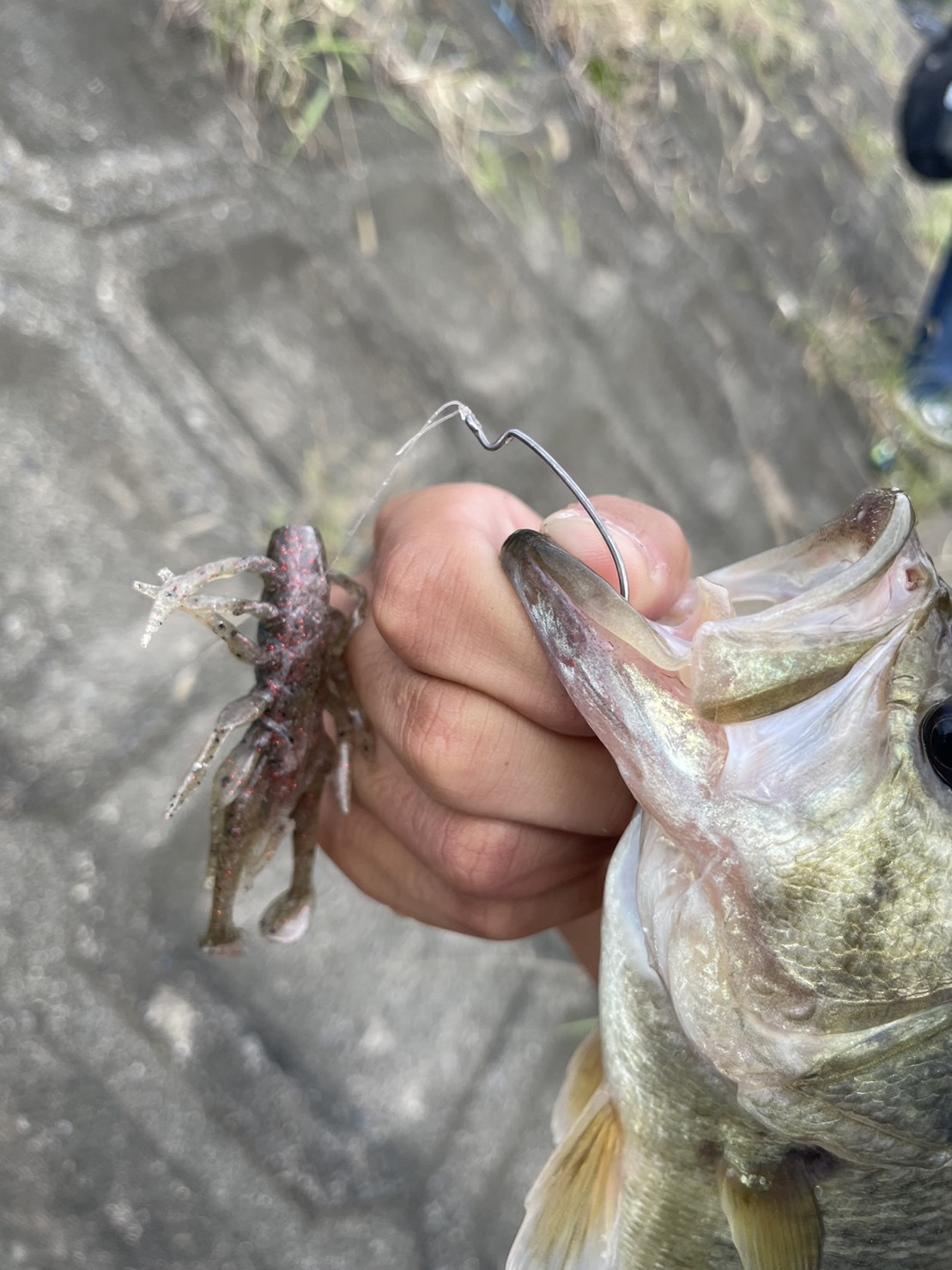 4uACG8oM3U_EtR3aGcaM6VRxrm64y8tXW5eHIKLkp6hB9cLzVPucYJQQNSz-KrNbLMC_xTgfbajqvmdDDKTJJWwPv5VMBEfb_2n0fhASYZTv7lwqxRWVyzRpuoGQrH_X-Y6RmCFYWj9R9NUu3GhWkQ==