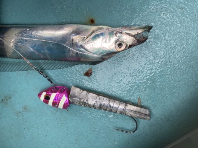 5F63844F-750F-433A-86D8-C28B6EFCC68B