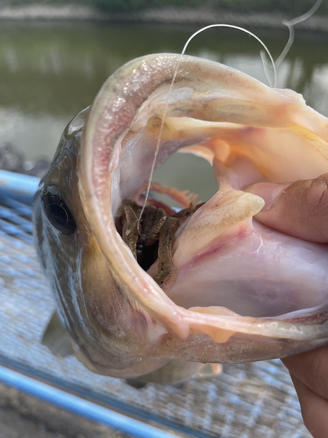 6c5LNF6l_R9SNCct6UG3MhSQq5uT3GhxfOvA7NAVPaXPPrMvRKkmg9WKbMsY5xxDQqvUsRaHdx4p_ro-g38NwEXutON59HhV-eo4MSG19zcX-VRxgN3OJa67Ul5ovh9Ixjd32DvNFM_jZ_FnFQeU0g==