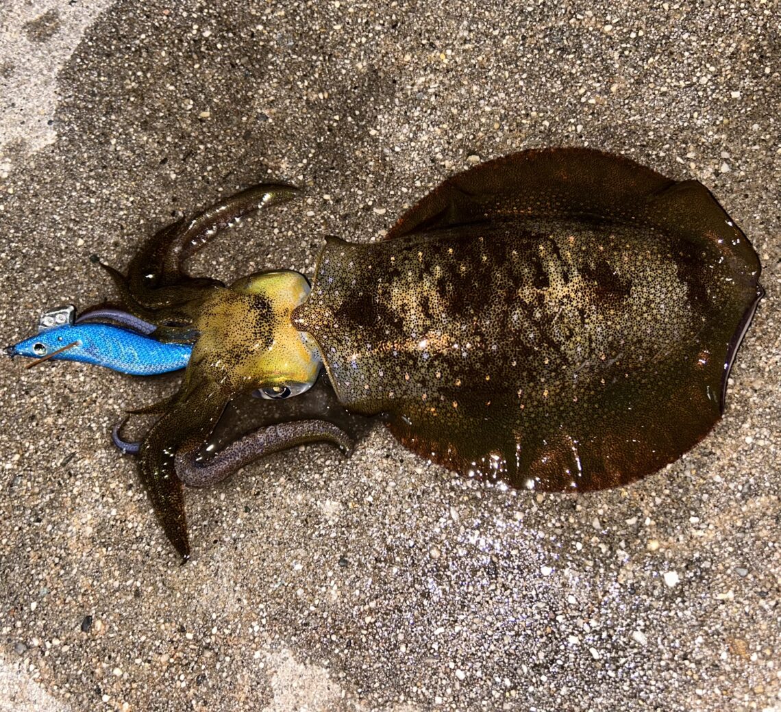 7F7CADA0-3FB7-493E-808D-1CF67EBD3F00