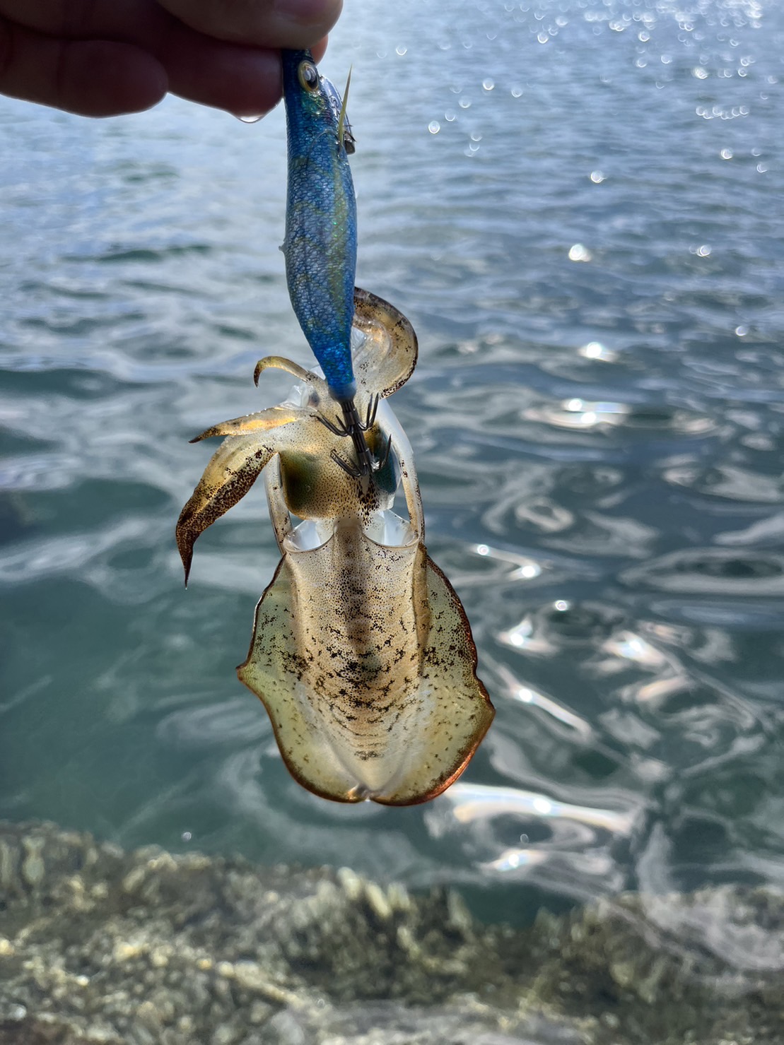 BDB82E5B-7FCC-4472-BB89-FD30C8C713FC