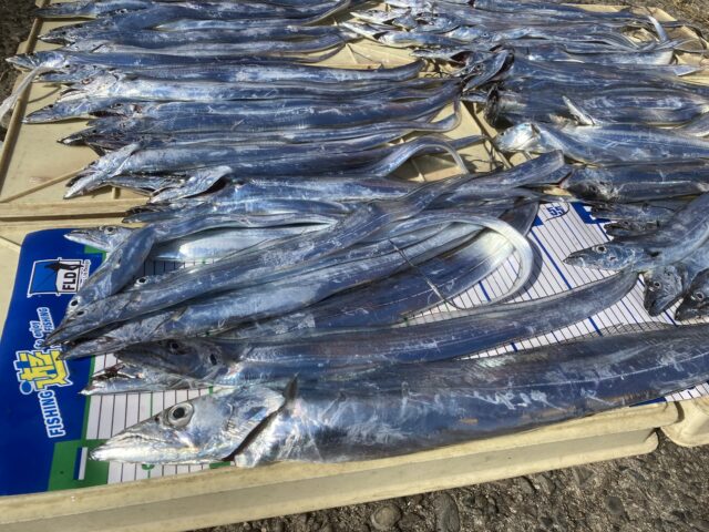 CBF53CE1-CCFE-4EC6-8EFE-0D1BD990F75F