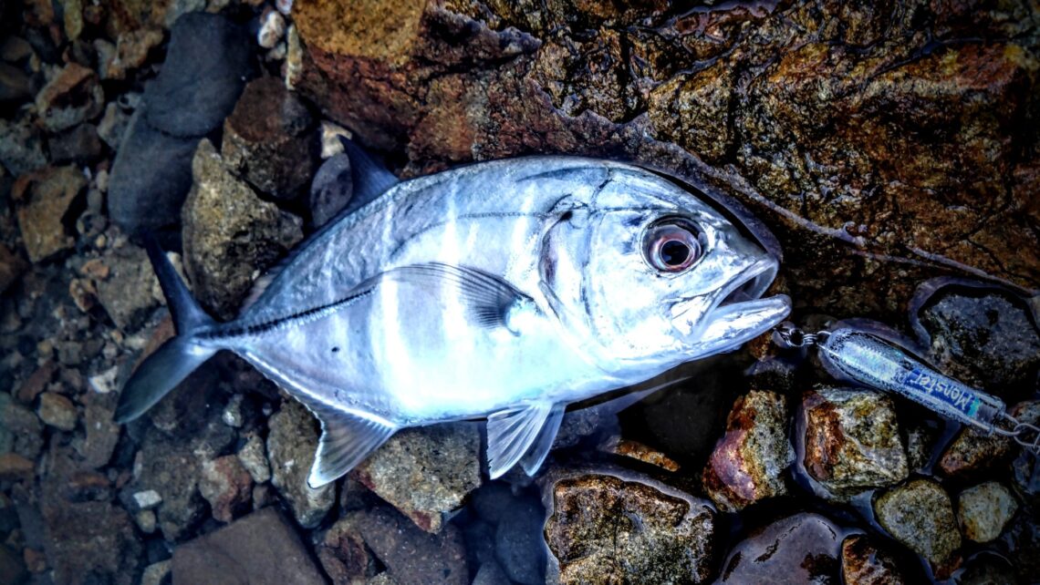 DSC_5898~2_copy_2016x1136