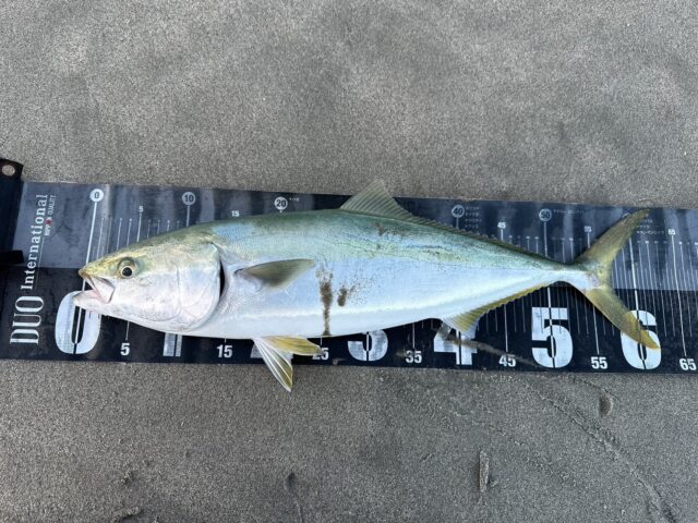 Gv_LVICLgCmAHq-jFtmcPPqbeHMVDILdUhqBKhBPP2Y_9POsVDmjrt4E7AoolYHB2UNP7qCld8pJeoIX6W5m2GK97cdchFdwUpegri9QLBJbsagch_Cy5hGGTc11eGNdCPs1Dl06N9VAVlxHgFo47A==