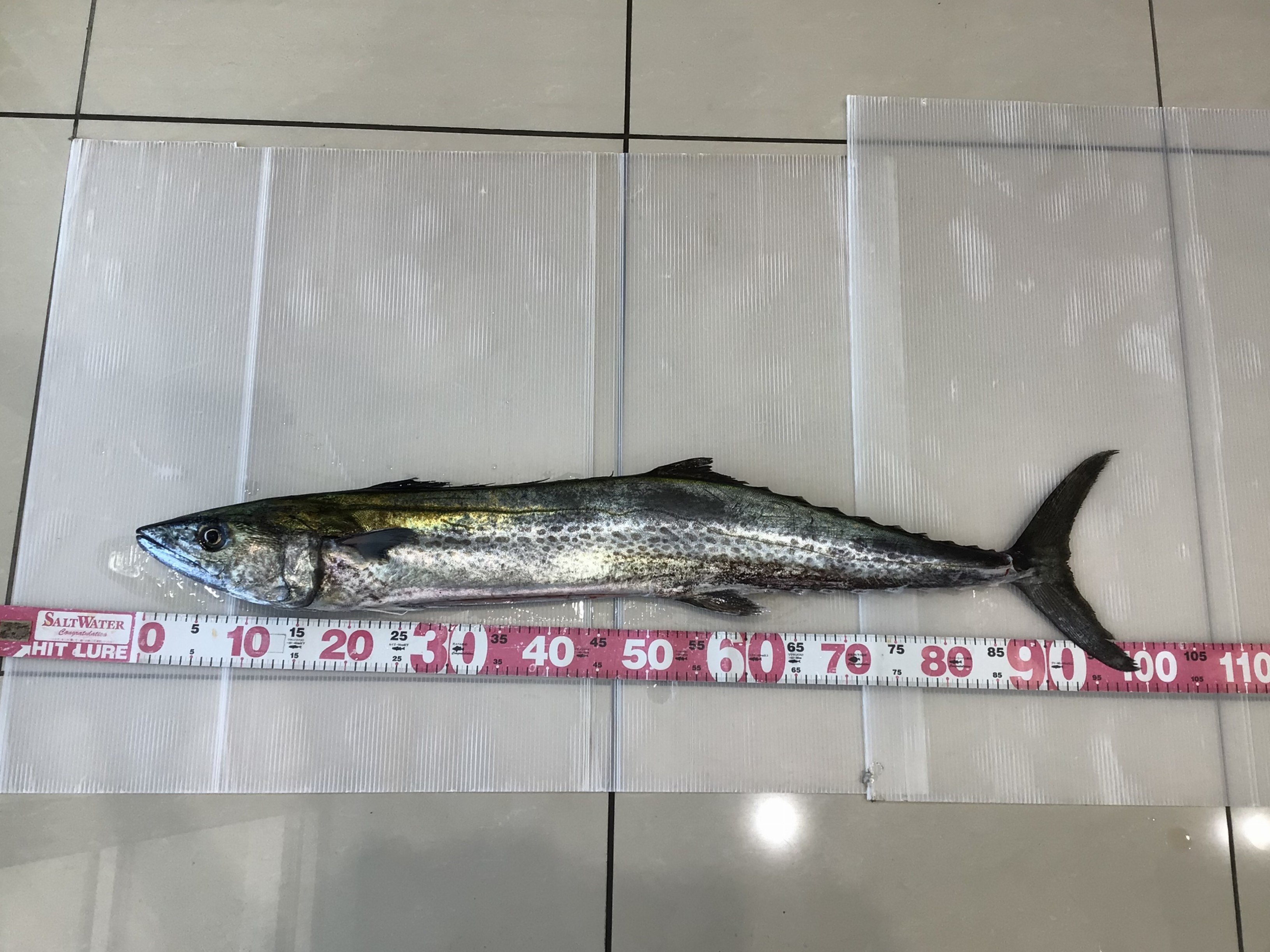 フワフワさま専用★湧命水　4セット★ 賞味期限2026.7  株式会社ユー フワフワさま専用☆湧命水 4セット☆ 賞味期限2026.7 株式会社ユー