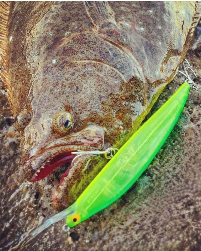 KVlMMJ-lknKlcdrHdEcFD1ZX1hHK4jGY-GceF-JGbx9txxQmoQA8Cmbm11AMDOMKbc0qYJ1m6Xy7dxn8VQPoLxEIdeYq13To0wTizdD5Qlj_PHnOoTjKoSoDQe1B7r3nQ0mGTKiMiK02azDH-NEk1Q==