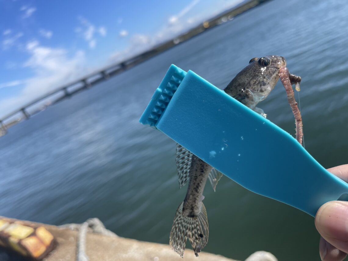 Kl-yOSfr6iem0jFbw6RBfxkcQzBDt5W_nMFErgTknPM44LrIgXXP1kbEvy8q1XsRr0mxRPr2asy4LXx0L9wy6ZTjdcg06iSH-rswe6OcXo7pe-cfzZah1R5m7ATeIclhPGAWgRoNfwFFSQkqTkXAuA==