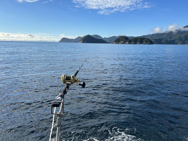 O312AviG4M5DoafryPhQUGhZfeV2p3Z32hReIwKSg9RCkzm48CY6uev5u_C8ORXtuCx_5eumIlDmtOKq2JIVSFXWk5q3U_k0tXyhEwlnu0i1JOtoYRyEFw7zbHP4MB1Kz-l8wzGQwHLkU5ioxg2GJw==