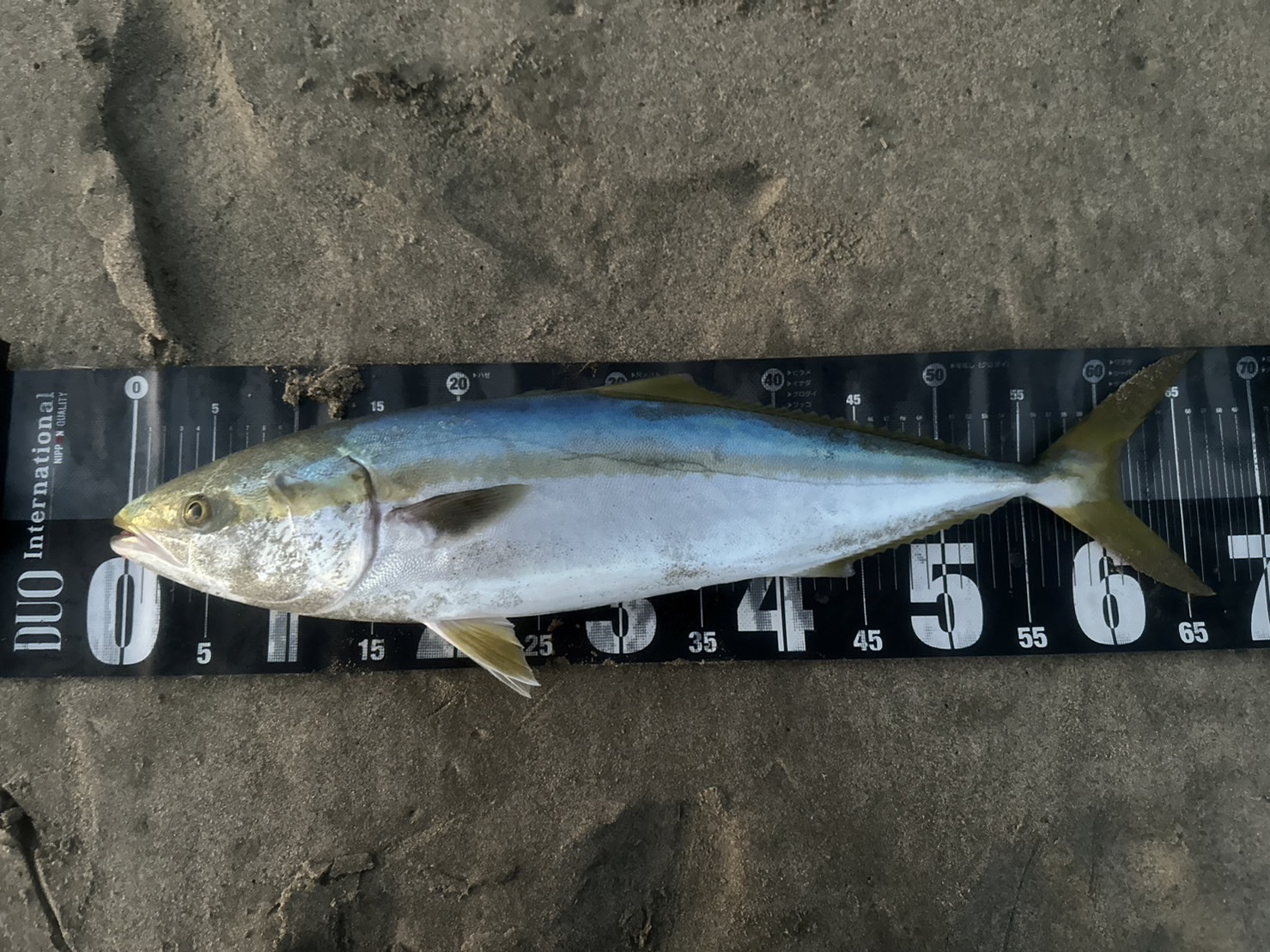 OylQI8wLpES2Oa46sCLXlMG8S8lTtPkx2uf_u9GtpdaTsK0SGB36LXrWNCKi_-chYveIXLOr_gfCrdY9h0dJ9UJr9qmpuc5pQdiGr287yI09vOVSeYo9v1Af5Io0PzFudWH1GW1Hzzc1ZjJIrpDCnQ==