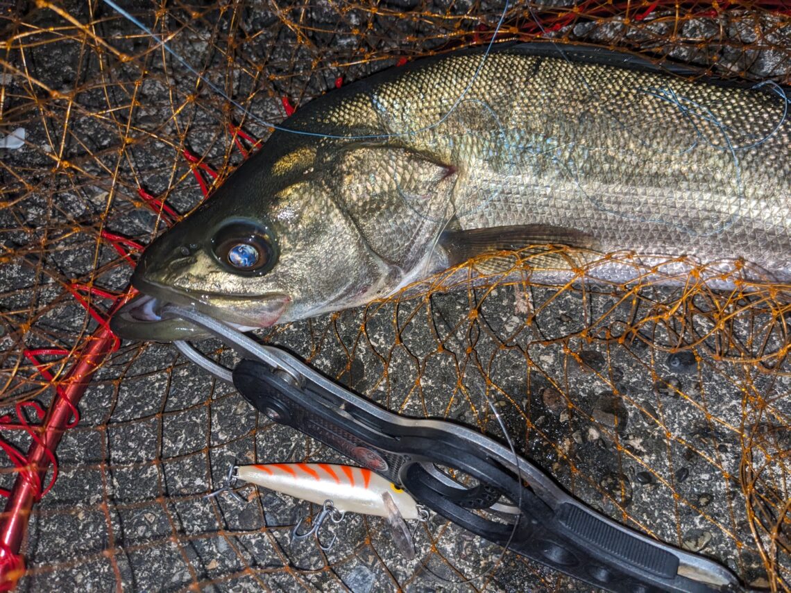 PXL_20231001_122142186