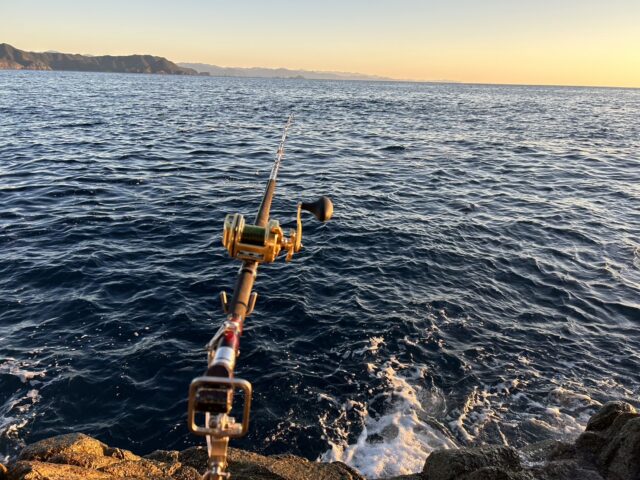 RzjoDNVqRW_NXHsTjddqNZSJdS-Ntsp9JJnytcHH2PK-hWEdFtXmz7-70OdqJxi4HtahE7z5Vnp0mb388MOaQUVpsYwe8mmoXW3UY9tNH6_tR5K78BJp3SgD9sFz-IRGyoEYSNdl5TIBu65cFcBv0A==