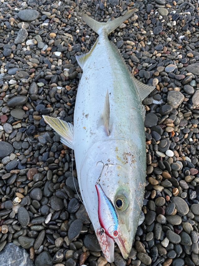 SEwJSiIJik3eousxUDFTcjMIjHxWtgITfI3uaDL4L5uCGOHO8JoP7GAH8bgR5se9R94WwM_pr7enCleGEofZtiWNoR3XreBIT4bi2_I6B82AeKSy5yAxRmJ5L7IagHP0jgTjgTGATm1_gXXKFHhmhg==