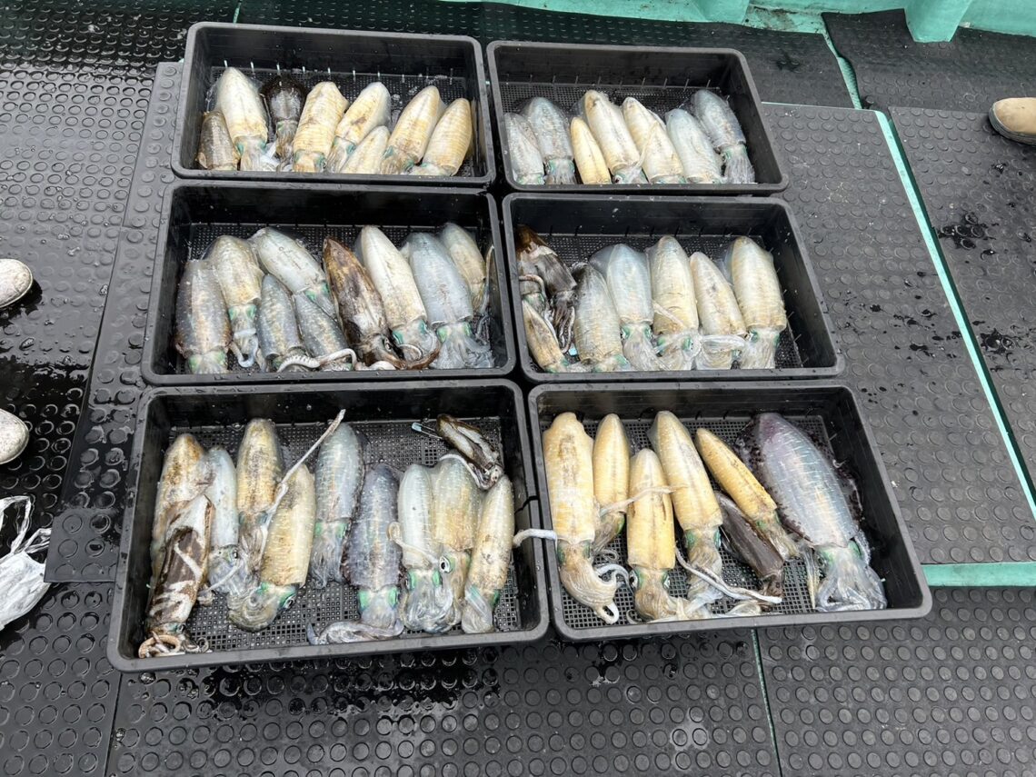 XJvuvpUj9QFbQzy7O25P4T-tc0nK2vuJypZ-f8bjyWjwSL4Y7qMVTNBFV44bTHHzsAlqGCNtAuCB90sjHfSwDppFBNdRCQuY6vIjvMOtq5_rOVW6sCZxNISpgNt0mzXKkpngZXezwyv0UN-p8nCI8Q==