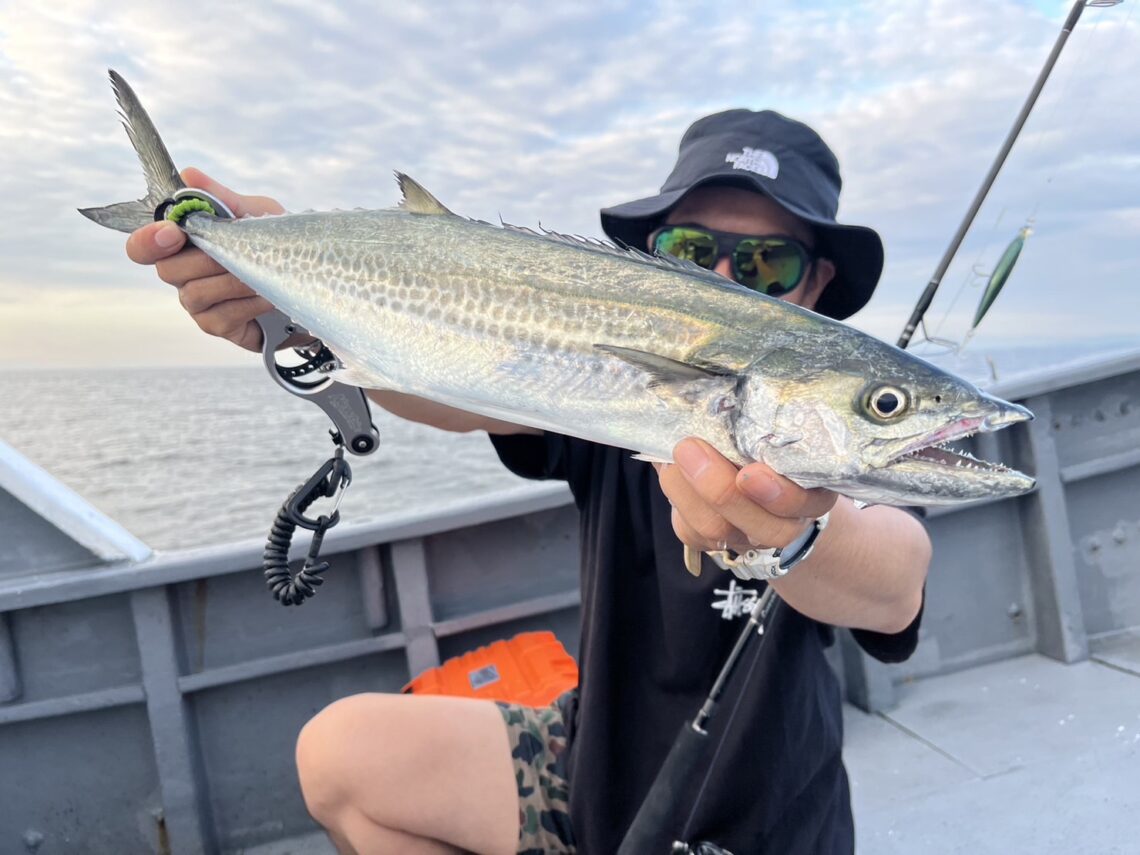 aJcd9R0dUImFqOLNx7WcF5za8-TY--ynWnIEzVNMLleYDb9bFUv5pIL4gb1RgXAQWmPPGrRQgcU206dQHg6tfrXQ6KrADHSi8Wg1GQorqQ9Jppb0Bv8kTDSH5L9R7PpBkCPUNF5rJUTpUxwFl42Qjw==