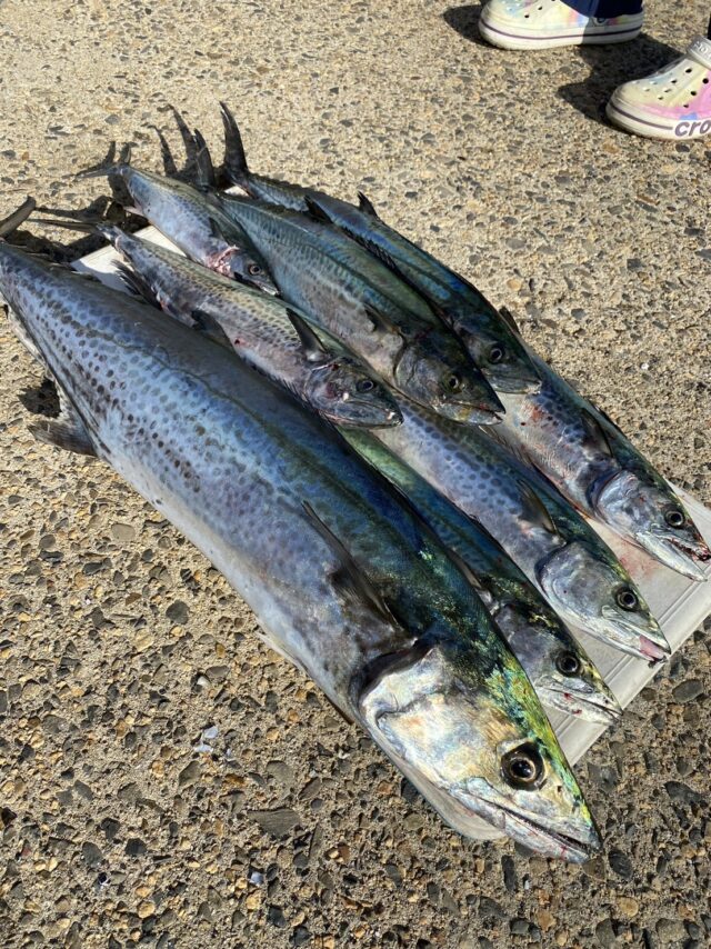 cTKw-tPSCAn6-I_GIThMZyhj2VnDND3t9xZ5BhdBH90_hhWOAMs4PXCmIjE5k7dopk08_WyVqBY4_nzt0lMW0mOhl43gepvA-E6QgXvRwh7E1WRYkyZQGjKMqjxoXMZVyoEYSNdl5TIBu65cFcBv0A==