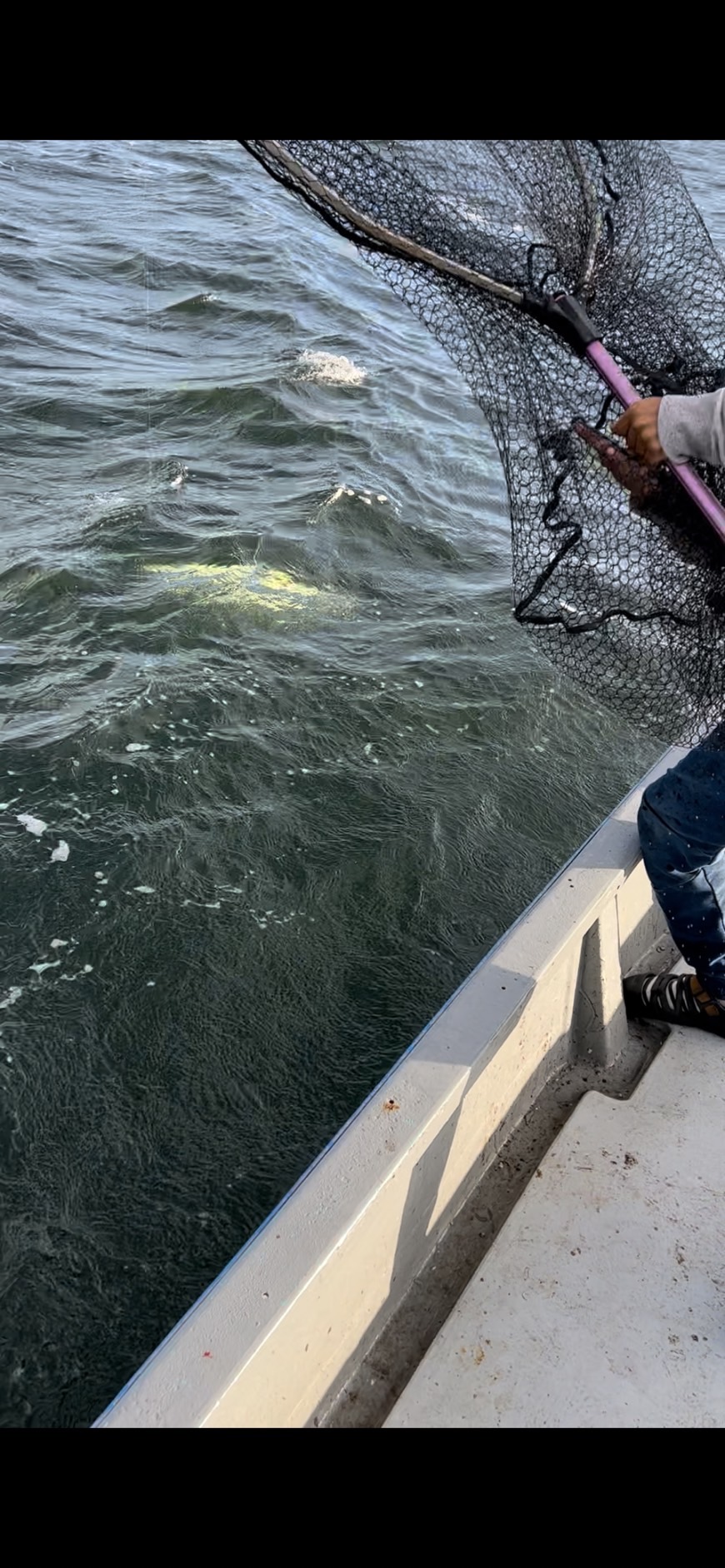 dQHvzLT1JpXV-3phKKkDCh6FPByHGyMUuk1hqa_pOkZN1HbjQxsyoFoORABvsLAd8SUwo-WkhJdDF_qUK4lU18tYllI2vQ6OolU9xwFAge-hnDUpvDV4t-vQ1wD1AQzBPGAWgRoNfwFFSQkqTkXAuA==