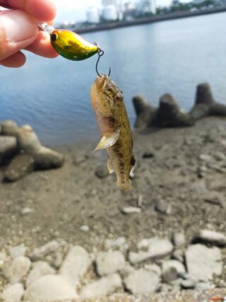 lb6e5qCICKyG-w-yxUeG-kGPjIgbrXcFMPaLlw4-wANhhrJkeaKmaFBgHfu8Nad7dFb7jycJ8lUwTNh1mFM718FCaNtW2db6wCauE4dxcFqhKf2tMhZ1TFyw_cHA71l9PGAWgRoNfwFFSQkqTkXAuA==